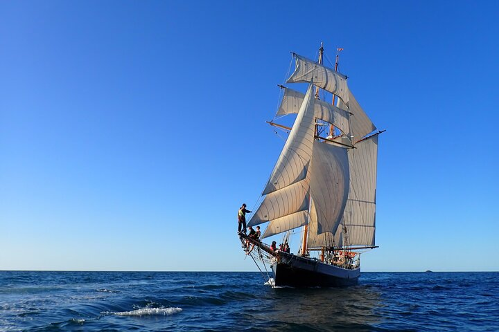 Our tall ship under full sail is a breathtaking experience!